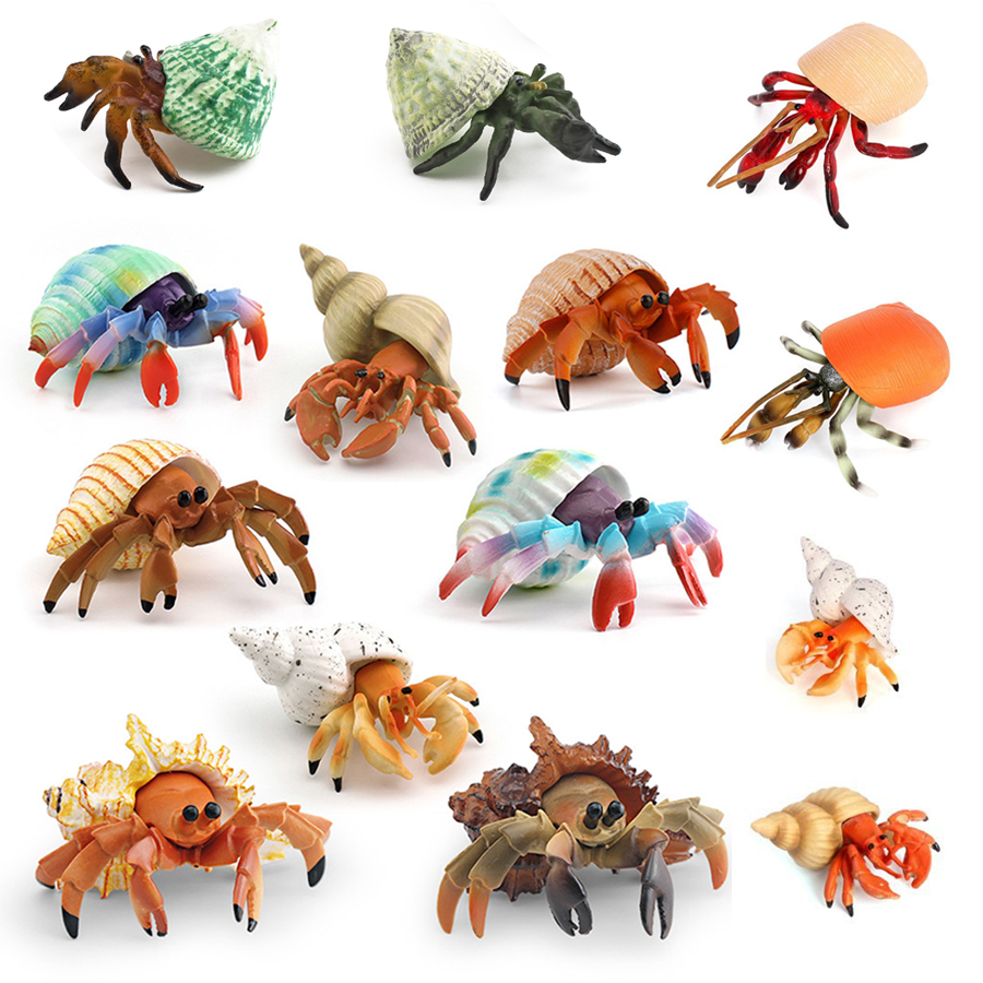 Kids Toys 3 Year Old - Realistisch figuurtje van een heremietkreeft Duurzaam